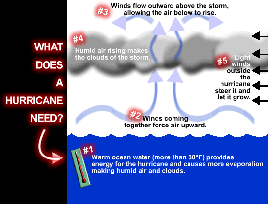What are some safety precautions for hurricanes?